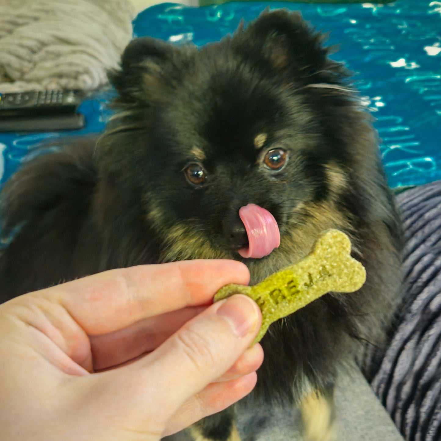 Personalizuoti skanėstai šunims "Žalioji Energija"